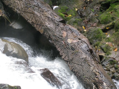This fallen scored log-bridge was probably dangerous, anyway.